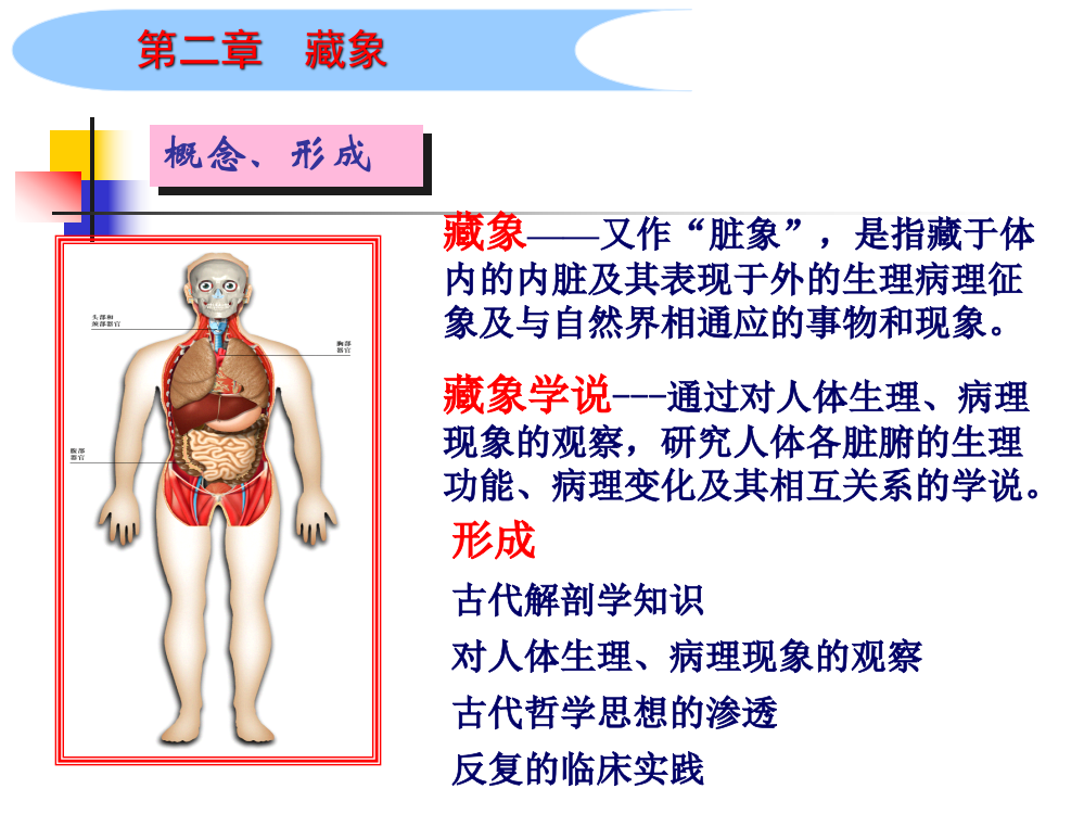 藏象课件PPT课件