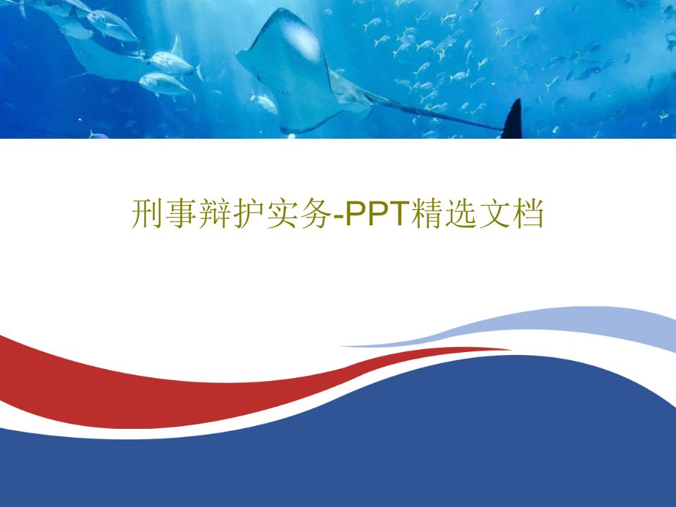 刑事辩护实务-PPT精选文档PPT共53页