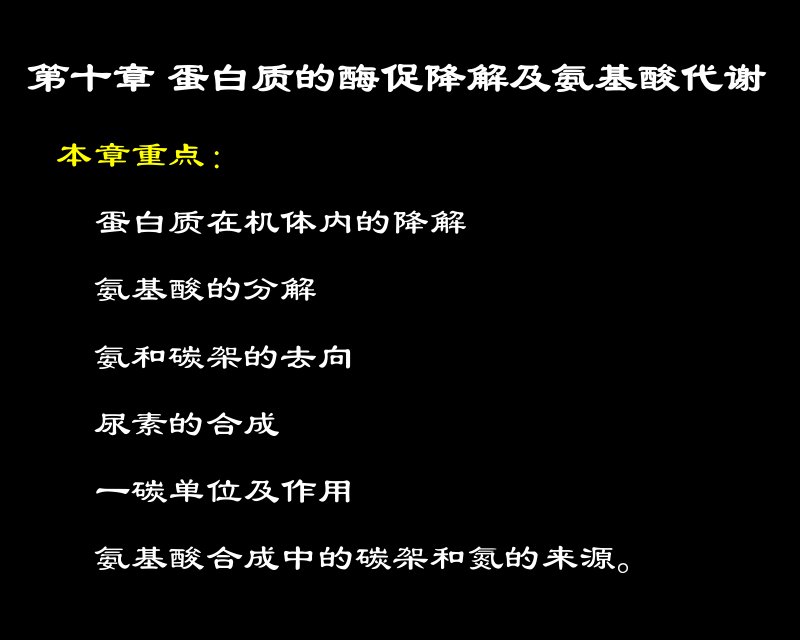 蛋白质降解及氨基酸代谢