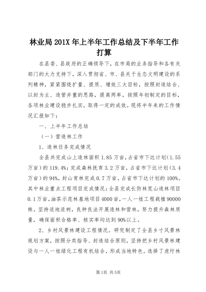 4林业局0X年上半年工作总结及下半年工作打算