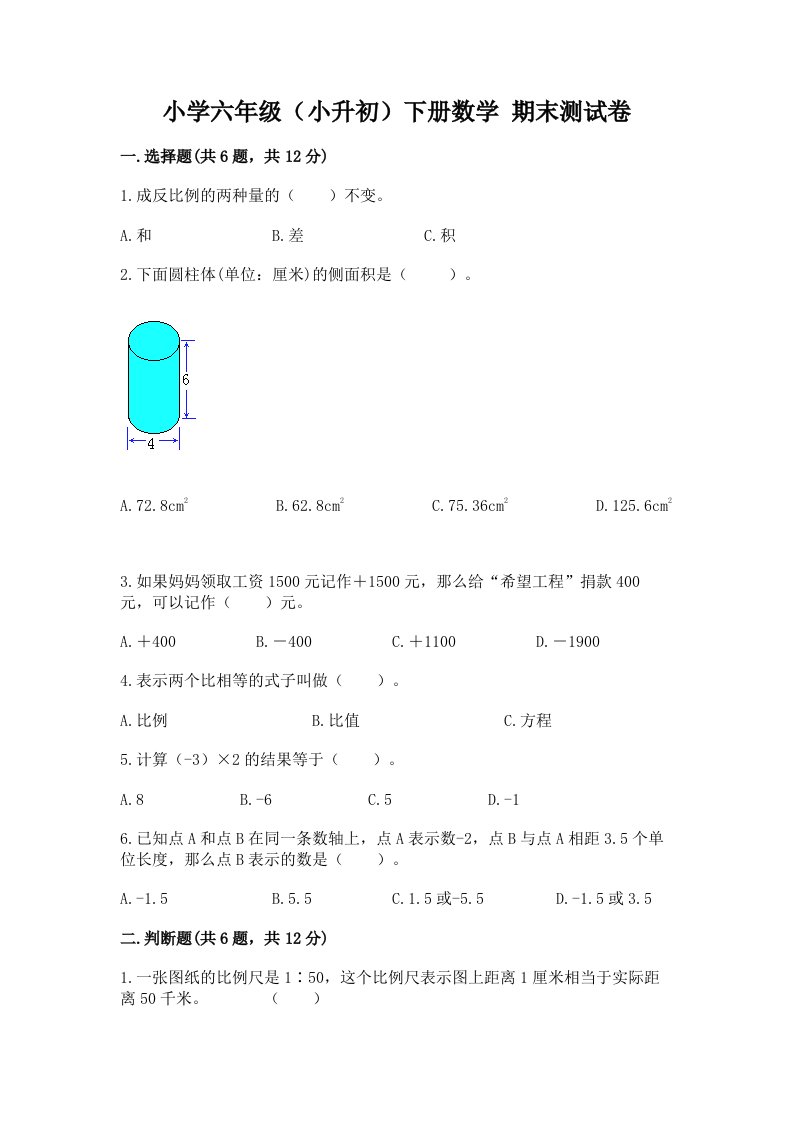 小学六年级（小升初）下册数学