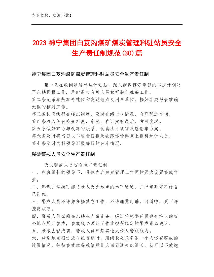 2023神宁集团白芨沟煤矿煤炭管理科驻站员安全生产责任制规范(30)篇