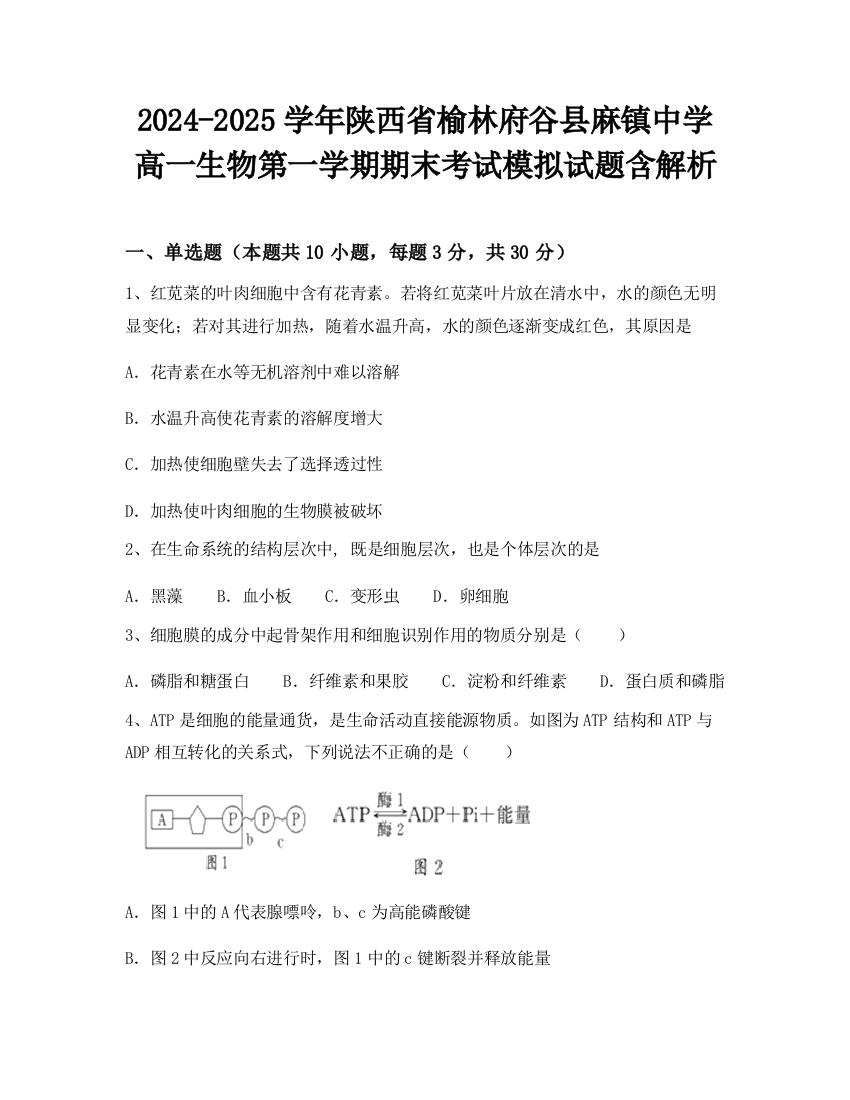 2024-2025学年陕西省榆林府谷县麻镇中学高一生物第一学期期末考试模拟试题含解析