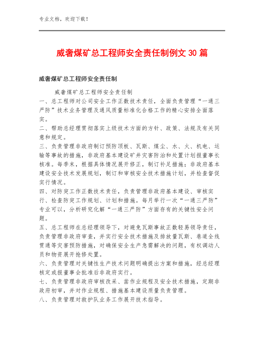 威奢煤矿总工程师安全责任制例文30篇