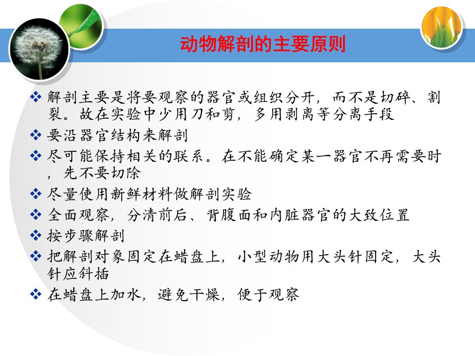 实验蛔虫和环毛蚓的比较解剖