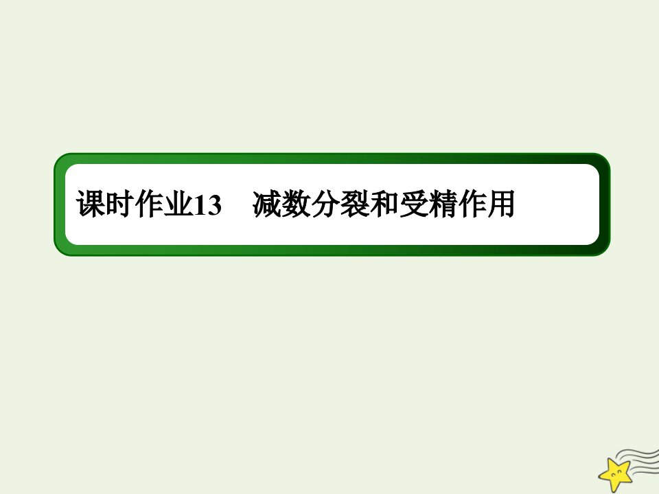 高考生物一轮复习课时作业13减数分裂和受精作用课件新人教版