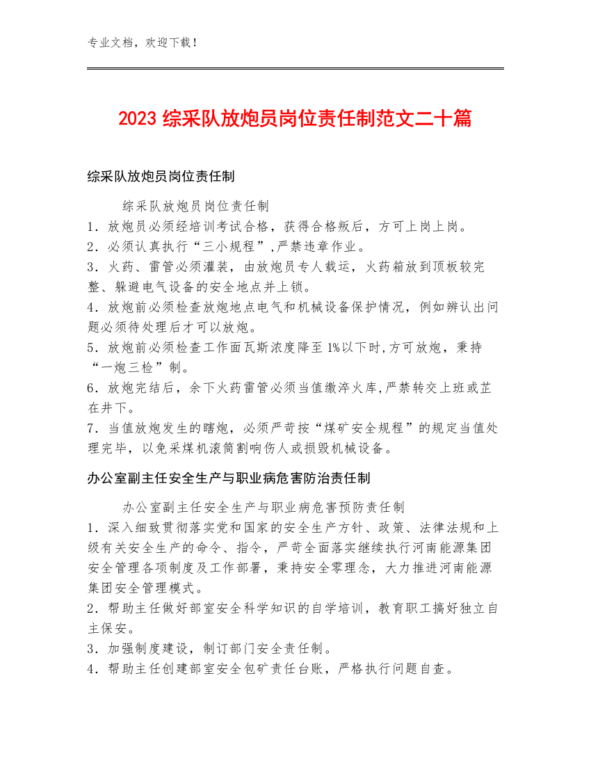 2023综采队放炮员岗位责任制范文二十篇