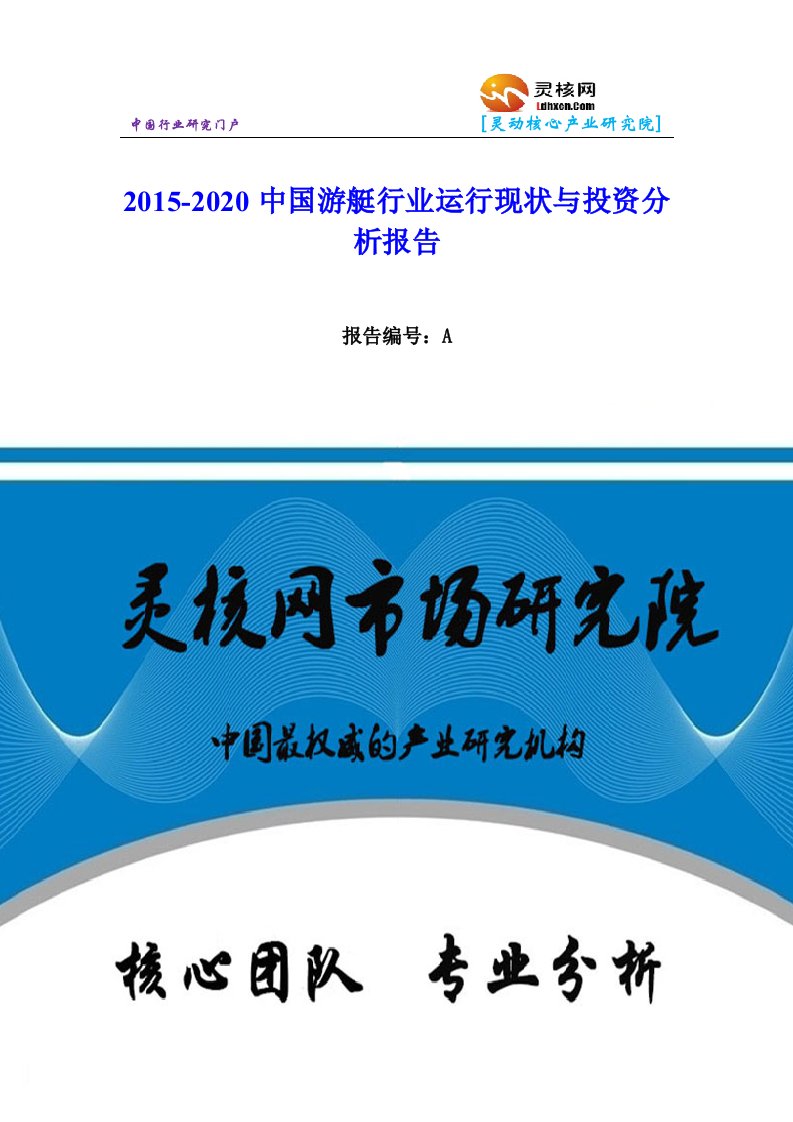 中国游艇行业市场分析与发展趋势研究报告灵核网