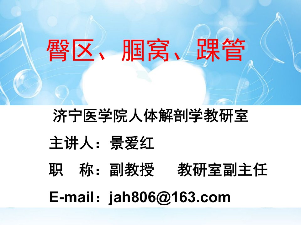 臀区、腘窝、踝管教案资料