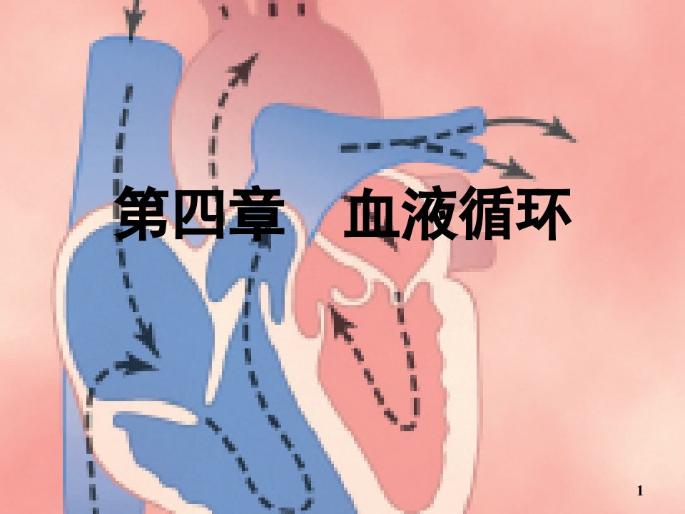 生理学课件血液循环临床医学本科人卫第八版