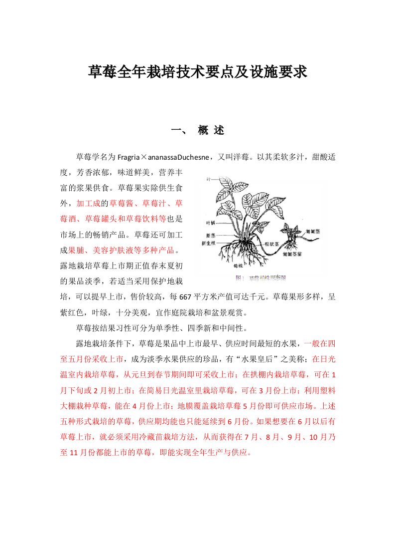 草莓全年栽培技术要点及设施要求