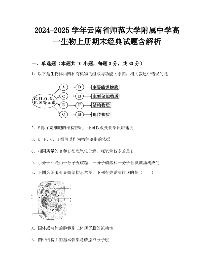 2024-2025学年云南省师范大学附属中学高一生物上册期末经典试题含解析