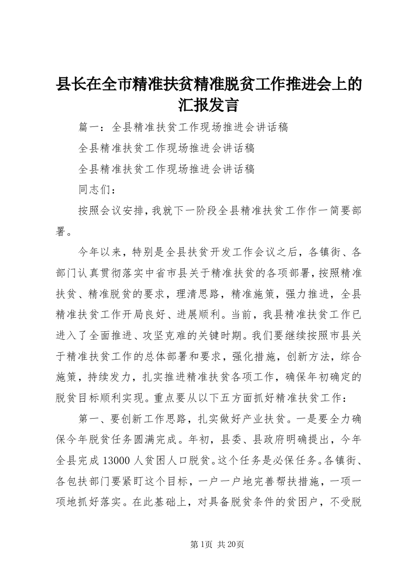 县长在全市精准扶贫精准脱贫工作推进会上的汇报发言