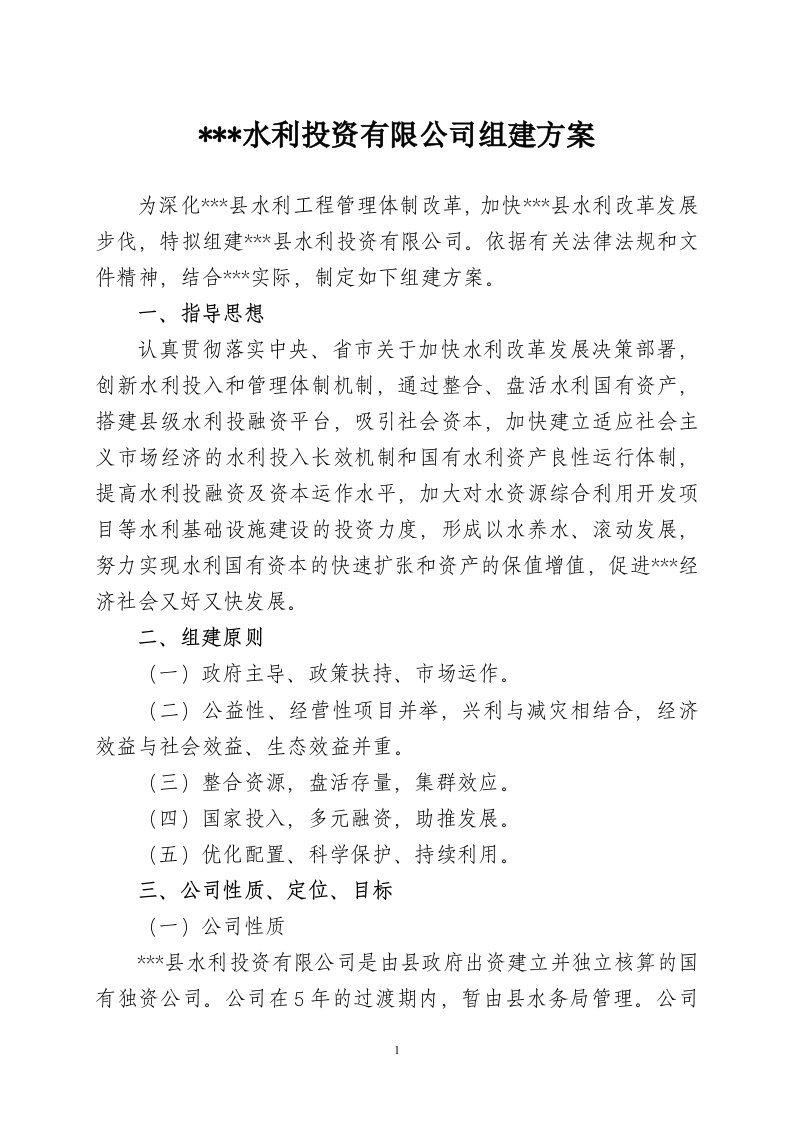 水利投资公司组建方案