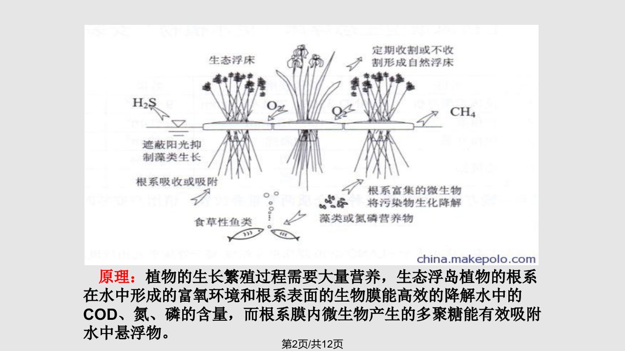 说地讲理等你来生态浮岛