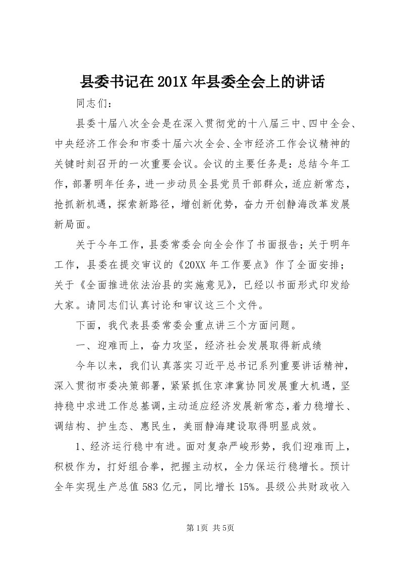 6县委书记在0X年县委全会上的致辞