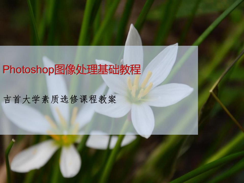 hotoshop图像处理教程