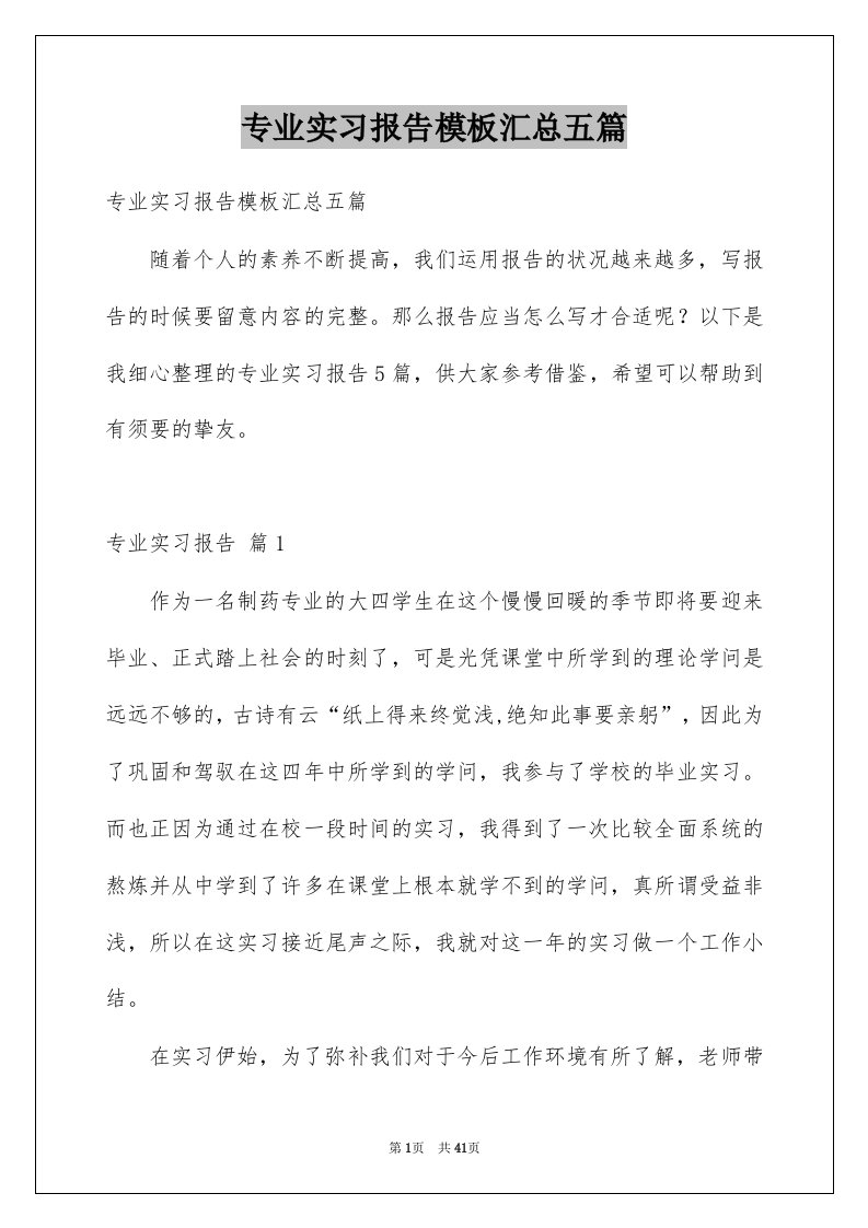 专业实习报告模板汇总五篇例文