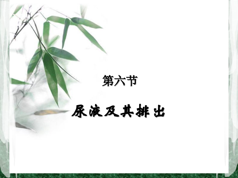 《生理学》第六节-尿液的排出