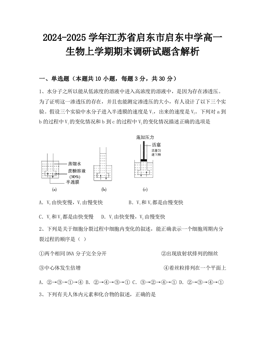 2024-2025学年江苏省启东市启东中学高一生物上学期期末调研试题含解析