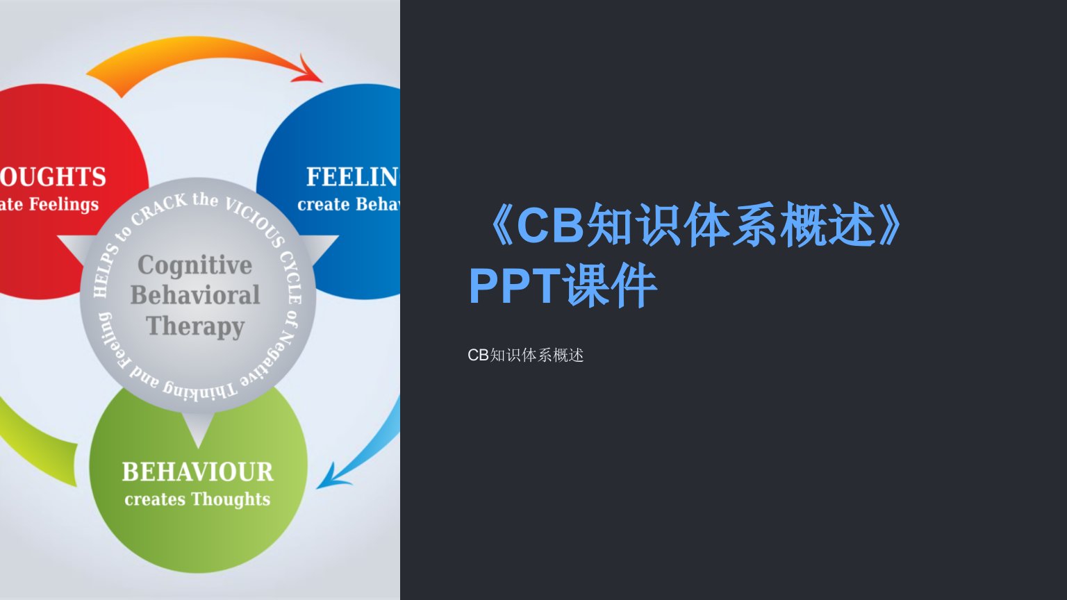 《CB知识体系概述》课件