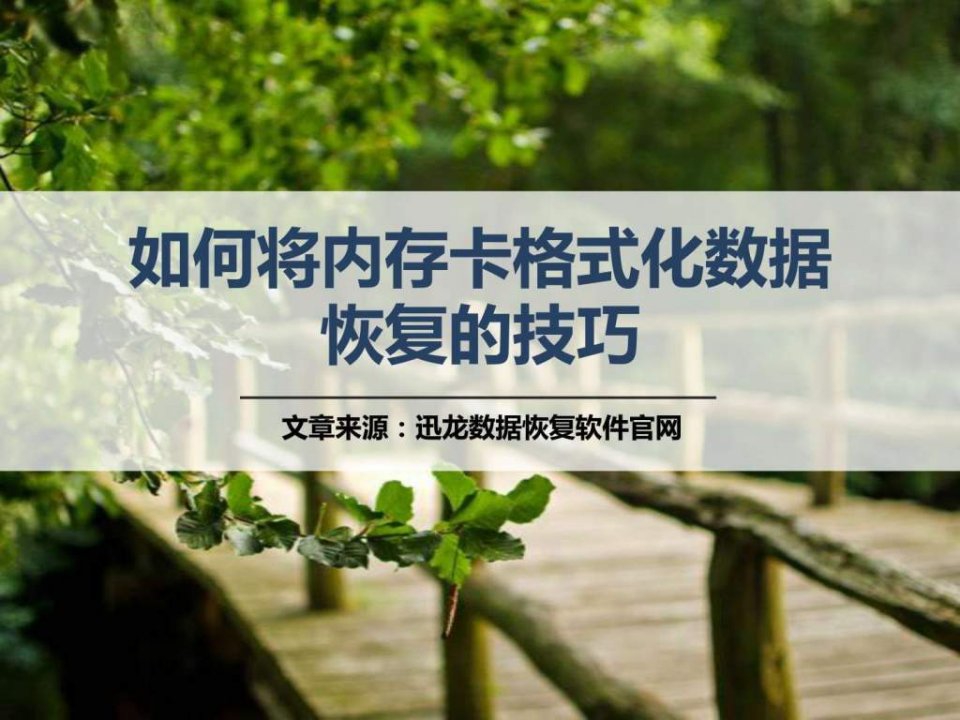 如何将内存卡格式化后数据恢复的技巧