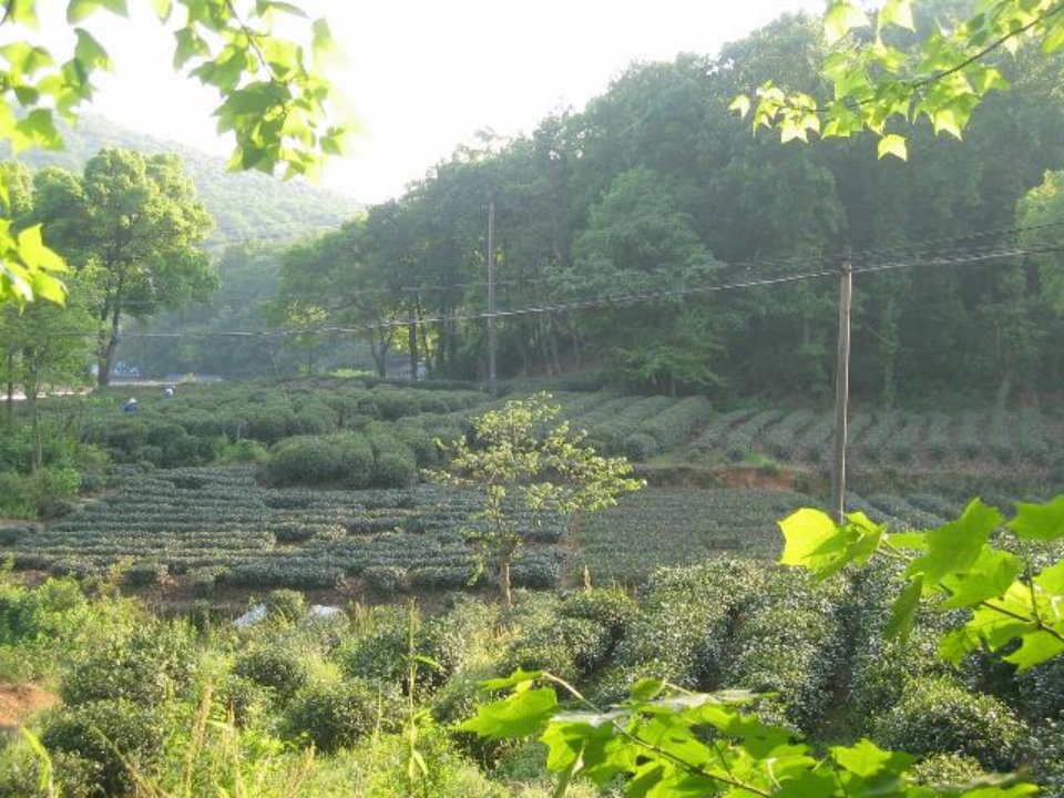 《农业生产与地理环境》课件