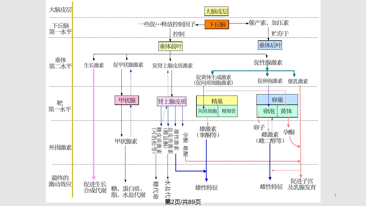 第8章生物氧化