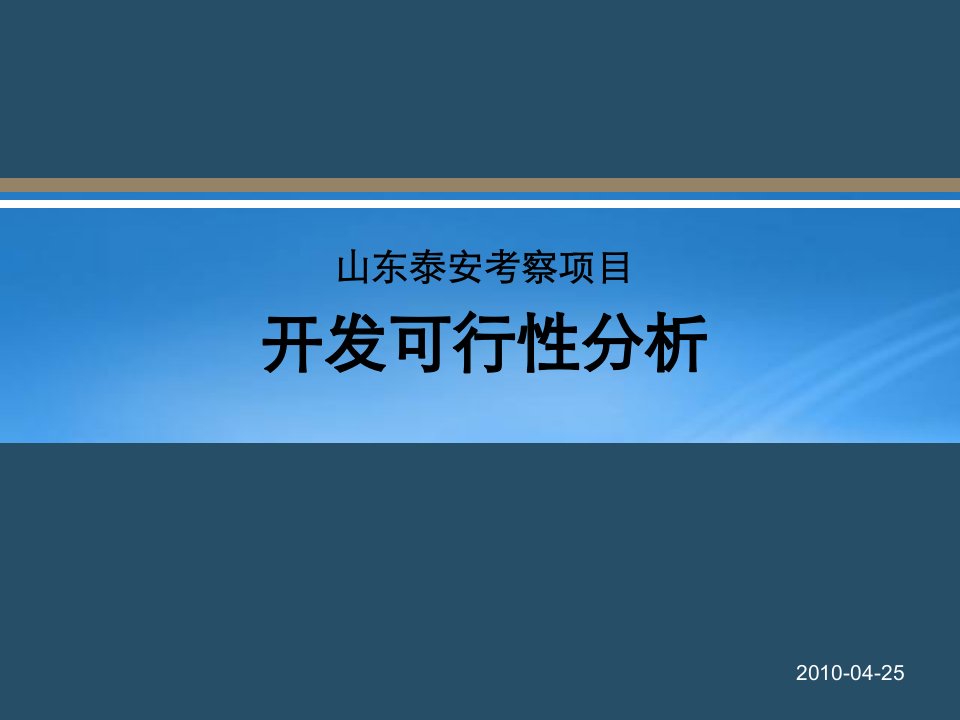 山东泰安考察项目开发可行性分析_35PPT_XXXX年