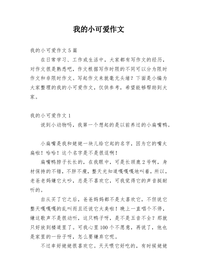 我的小可爱作文