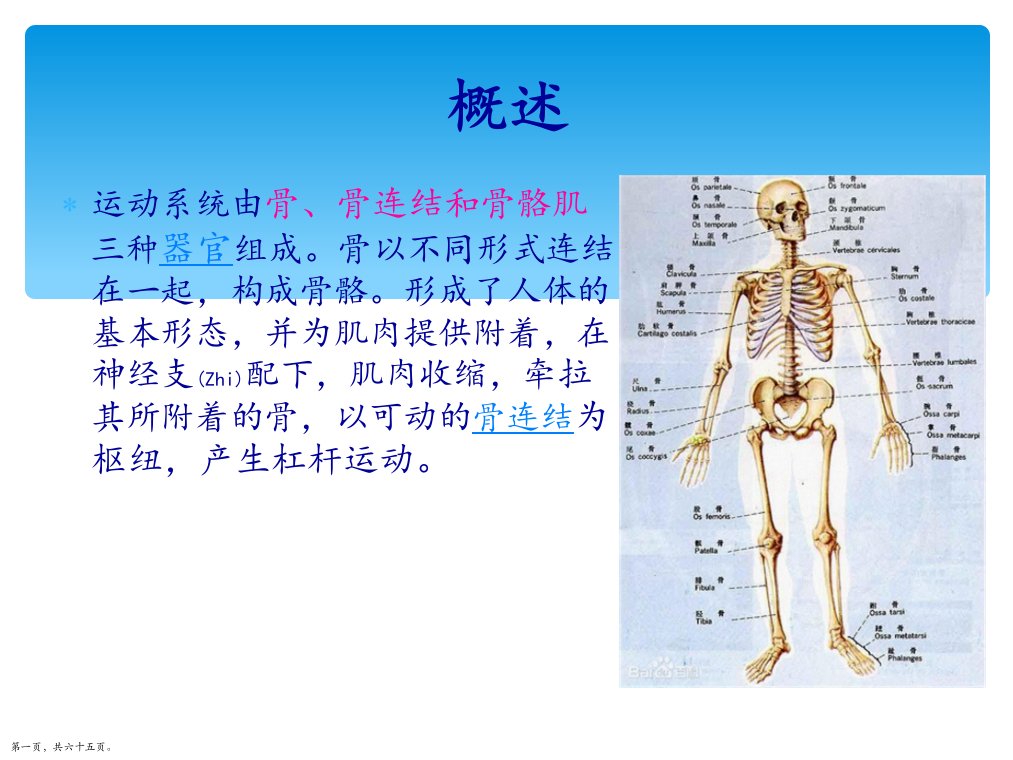 运动系统肿瘤的预防和治疗