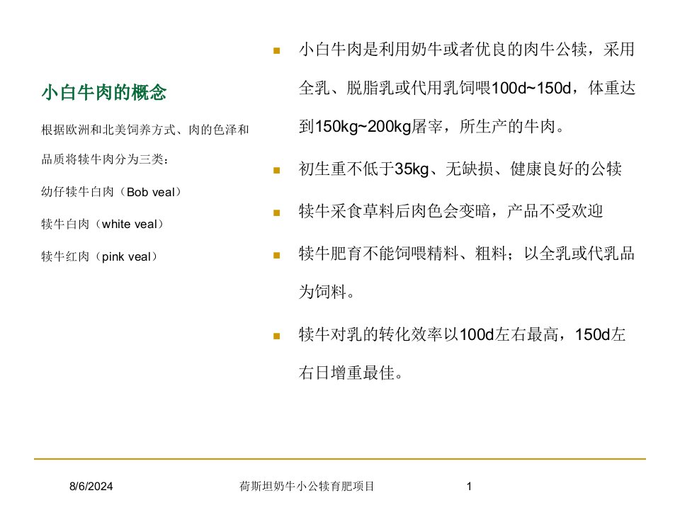 荷斯坦奶牛小公犊育肥项目讲义