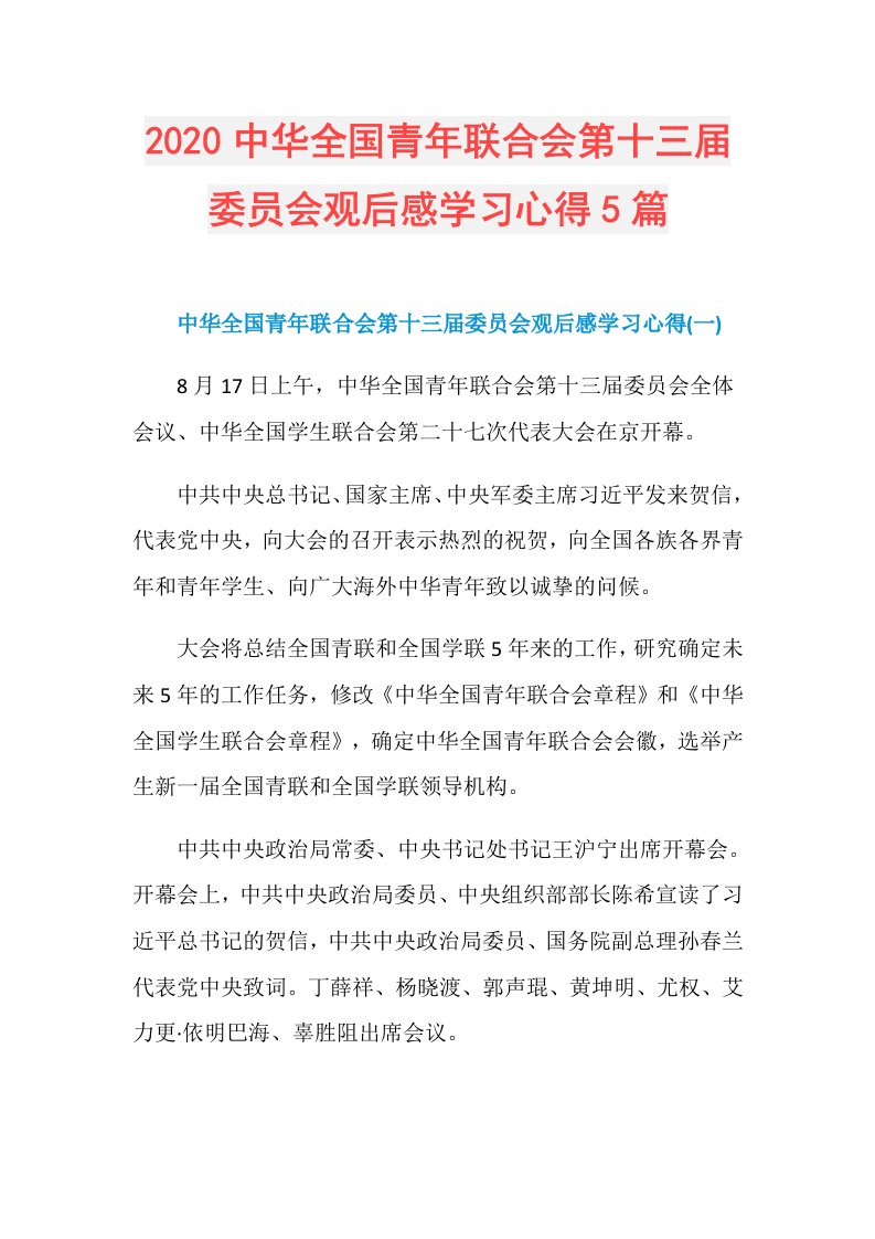 中华全国青年联合会第十三委员会观后感学习心得5篇