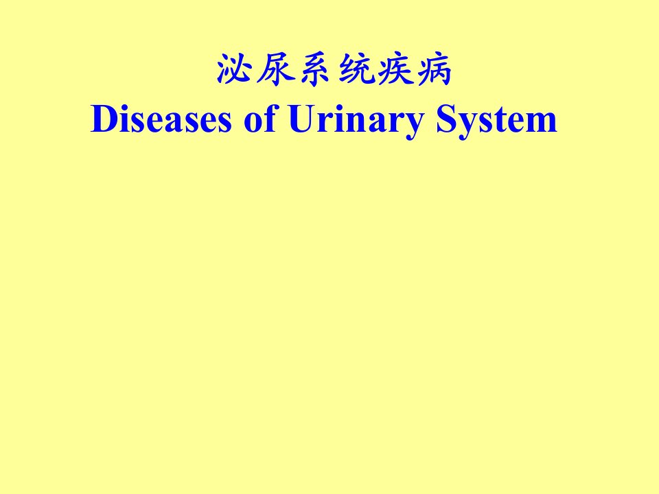 病理学泌尿系统疾病ppt课件