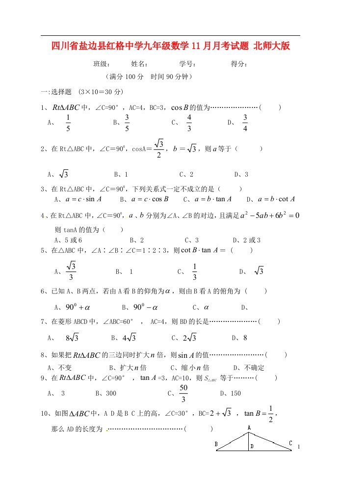 四川省盐边县九级数学11月月考试题