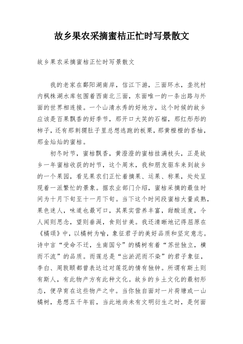 故乡果农采摘蜜桔正忙时写景散文