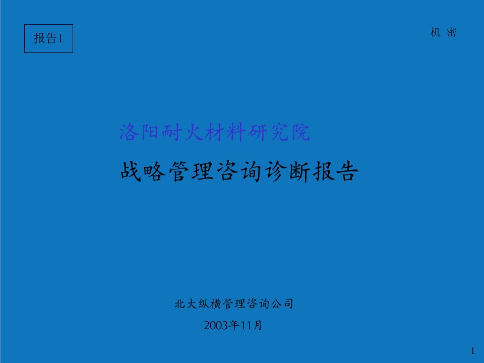 战略管理-耐盐院组织战略管理咨询诊断报告