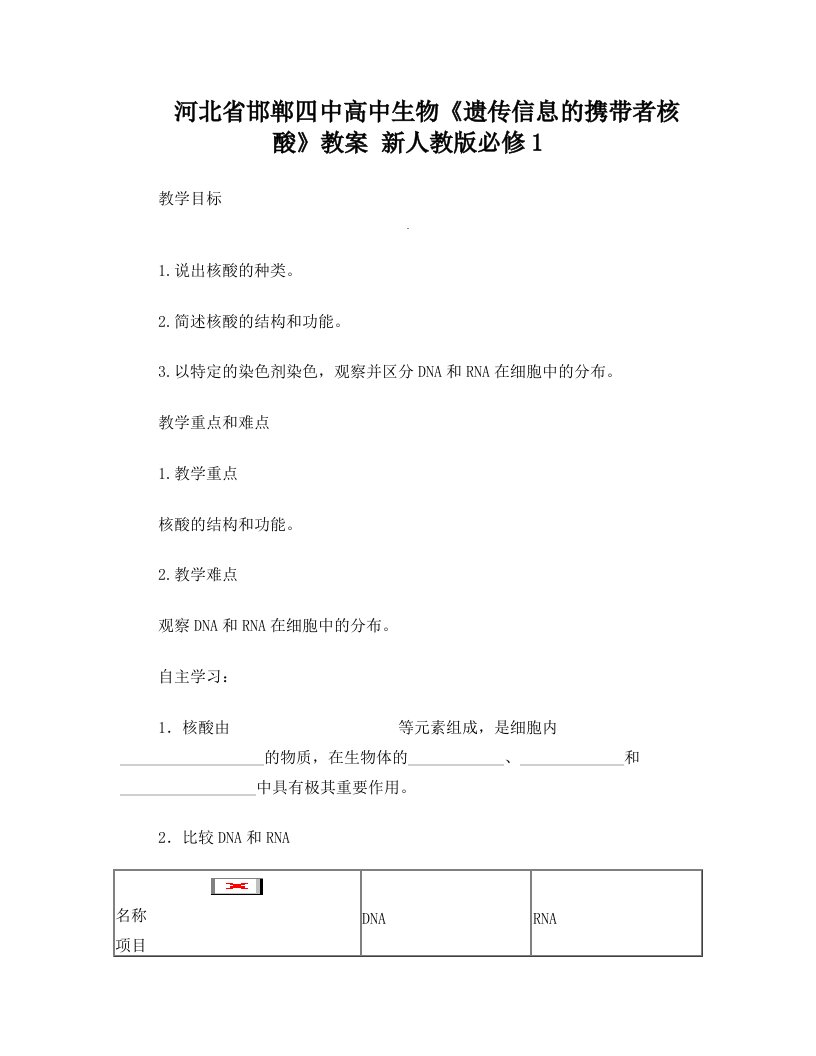 高中生物《遗传信息的携带者核酸》教案新人教版必修1