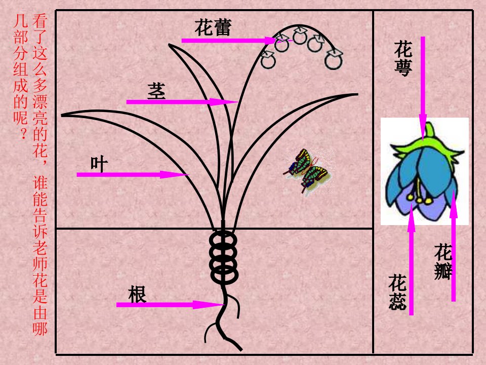 人美版小学美术二年级上册《茂密的花》课件