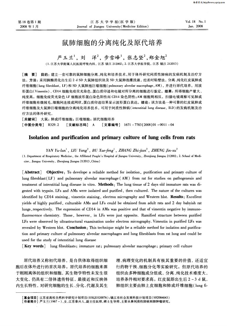 鼠肺细胞的分离纯化及原代培养.pdf