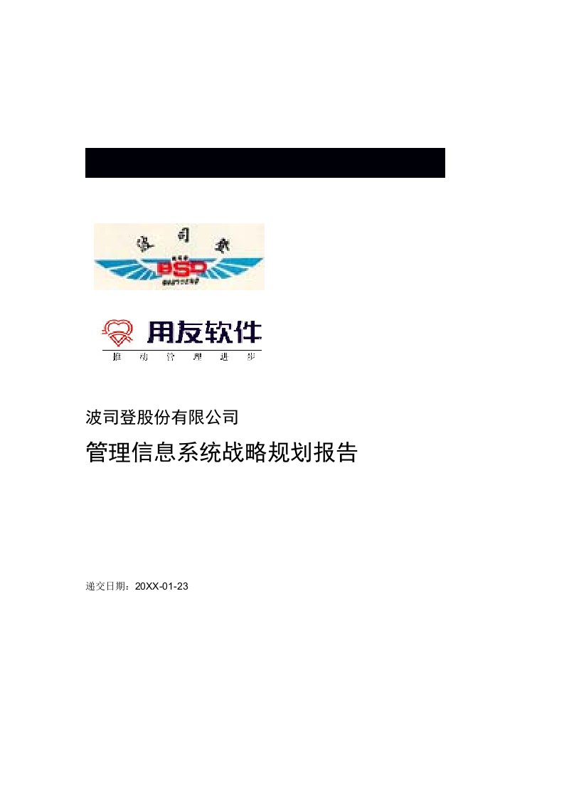 战略管理-波司登IT战略规划