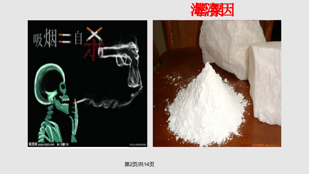 BookmoduleNodrugs课文学习教程