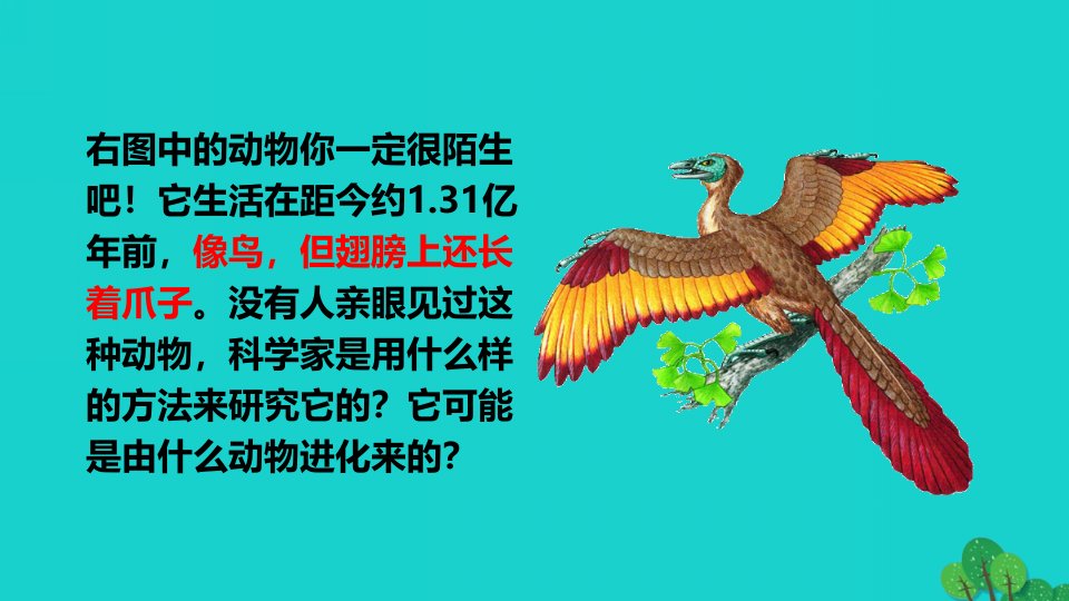 2022八年级生物下册第七单元生物圈中生命的延续和发展第三章生命起源和生物进化第二节生物进化的历程教学课件新版新人教版