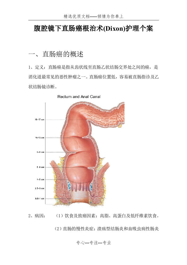 腹腔镜下直肠癌根治术护理个案(共12页)