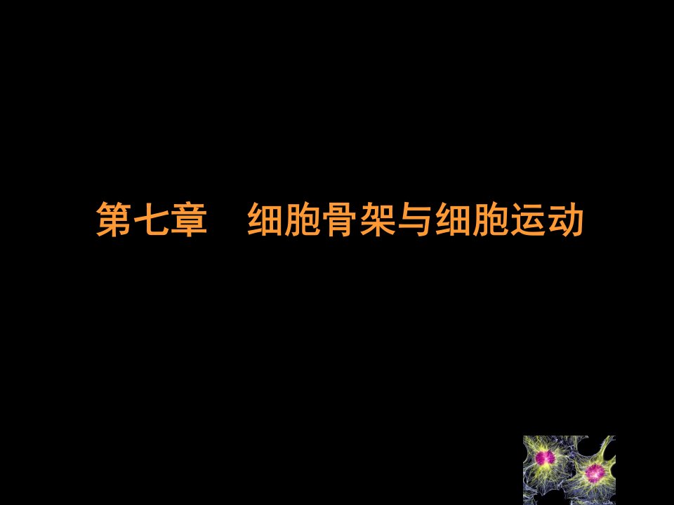 细胞生物学细胞骨架与细胞运动