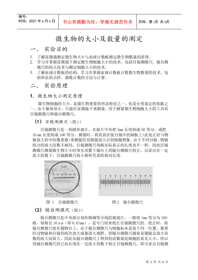 微生物的大小及数量的测定