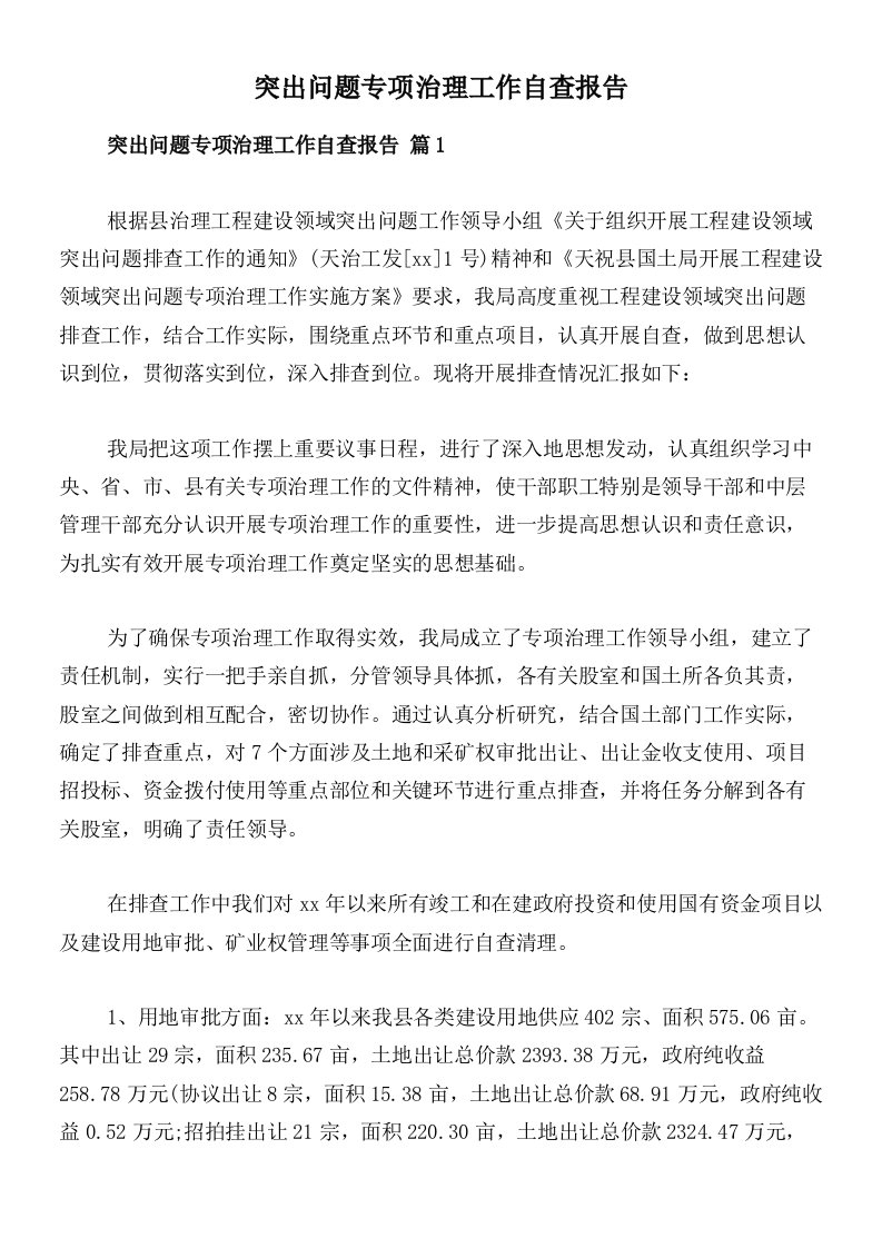 突出问题专项治理工作自查报告