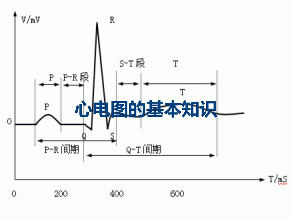 心电图的基本知识课件