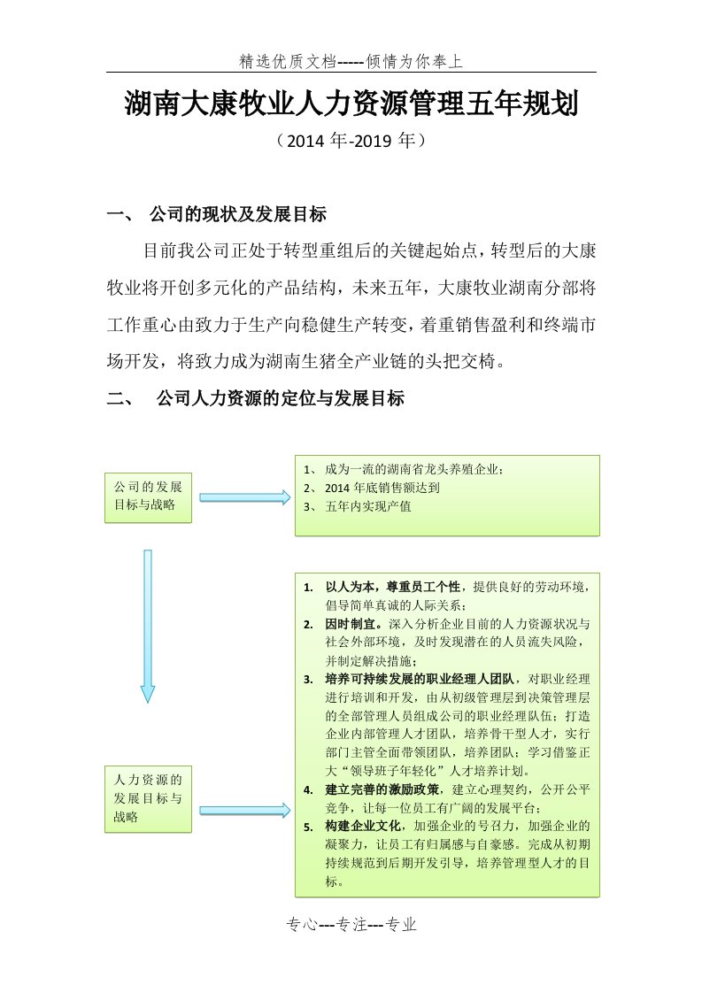 人力资源五年规划(共9页)