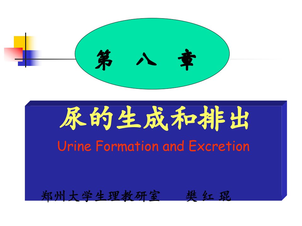 第八章尿的生成和排出